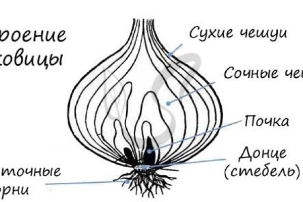 Кракен магазин тор