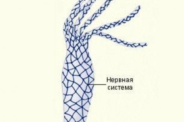 Зеркало кракен дарк